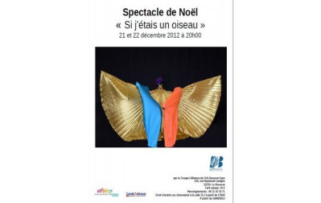 SPECTACLE DE NOEL 2012