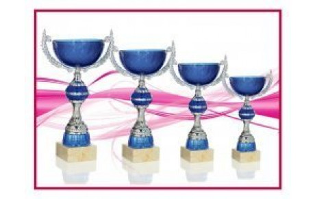 RECOMPENSES DES SPORTIFS DE LA VILLE DU BOUSCAT 