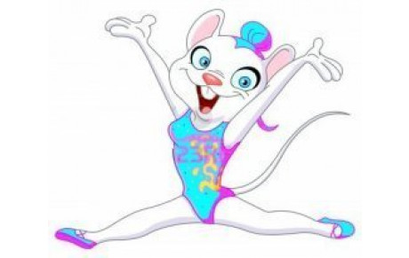 stage des vacances de la Toussaint  Inscriptions