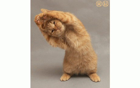 Inscription 2021-2022 : fiche de réservation